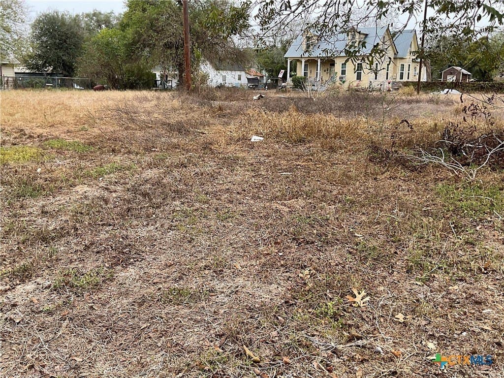 0.34 acres in DeWitt County gallery image 4
