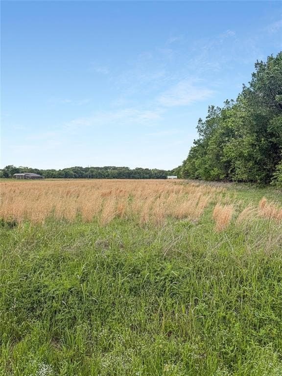 2.5 acres in Rains County gallery image 2