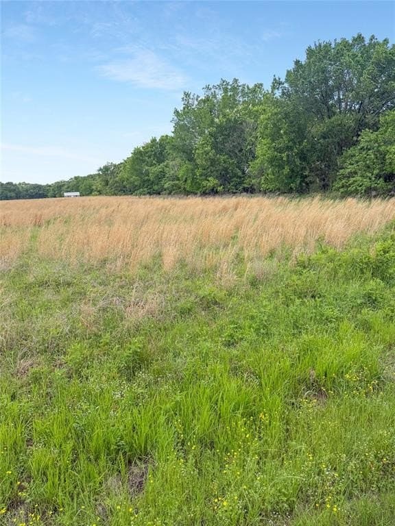 2.5 acres in Rains County