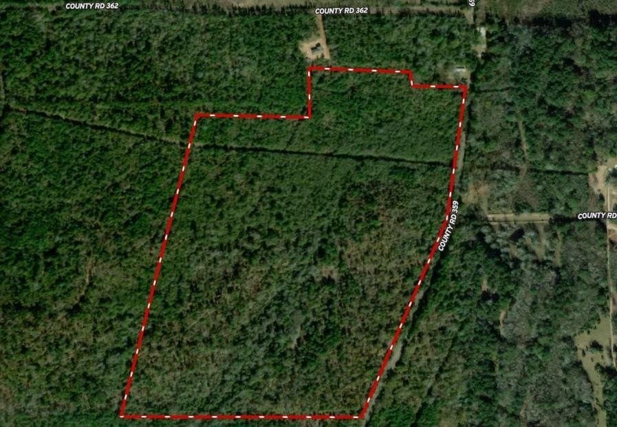 85 acres in Smith County gallery image 2