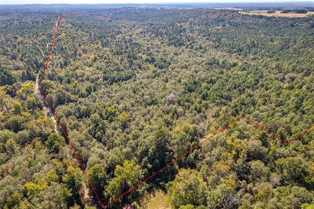 85 acres in Smith County