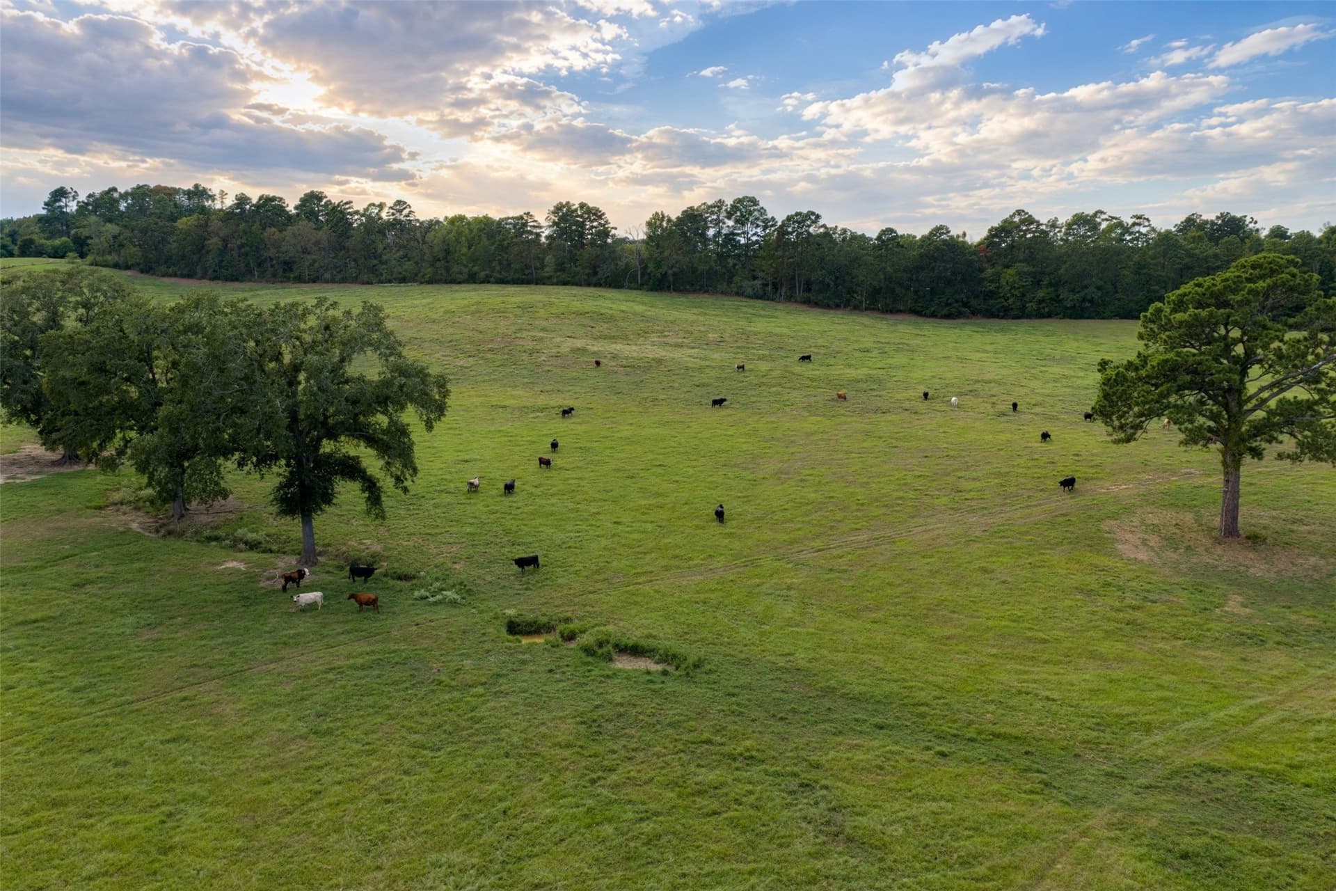 163.26 acres in Cherokee County - photo 24