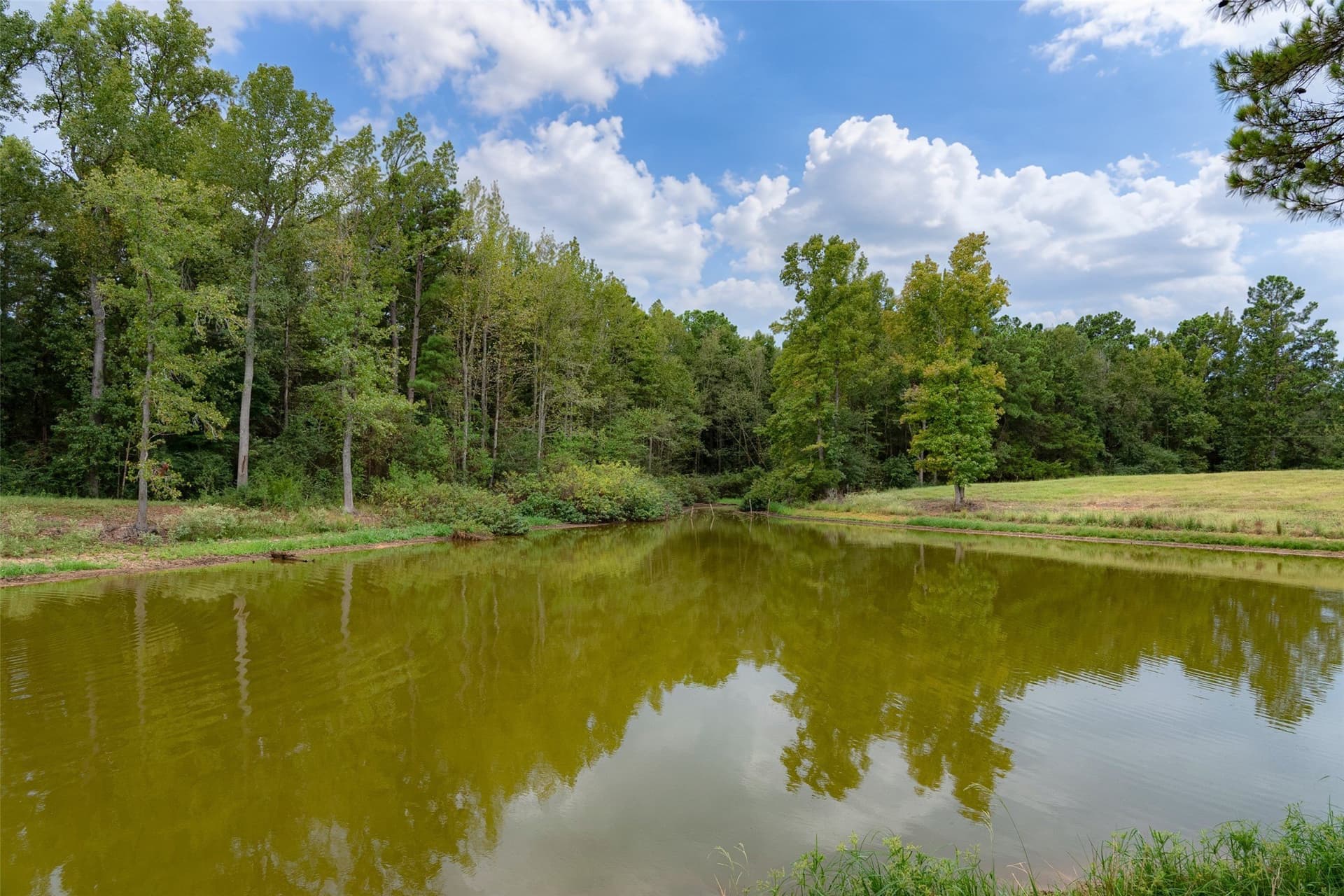 163.26 acres in Cherokee County - photo 29