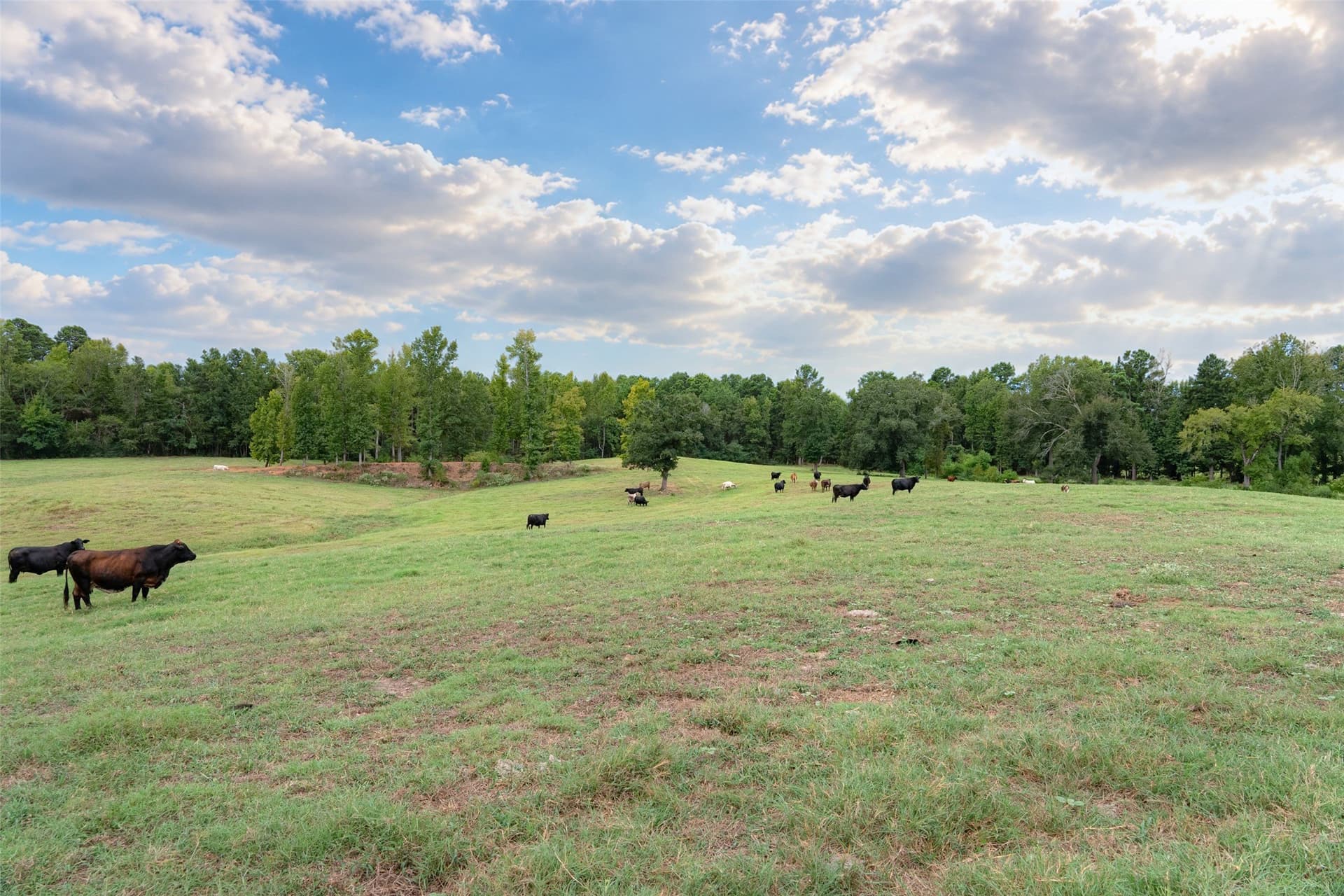 163.26 acres in Cherokee County - photo 23