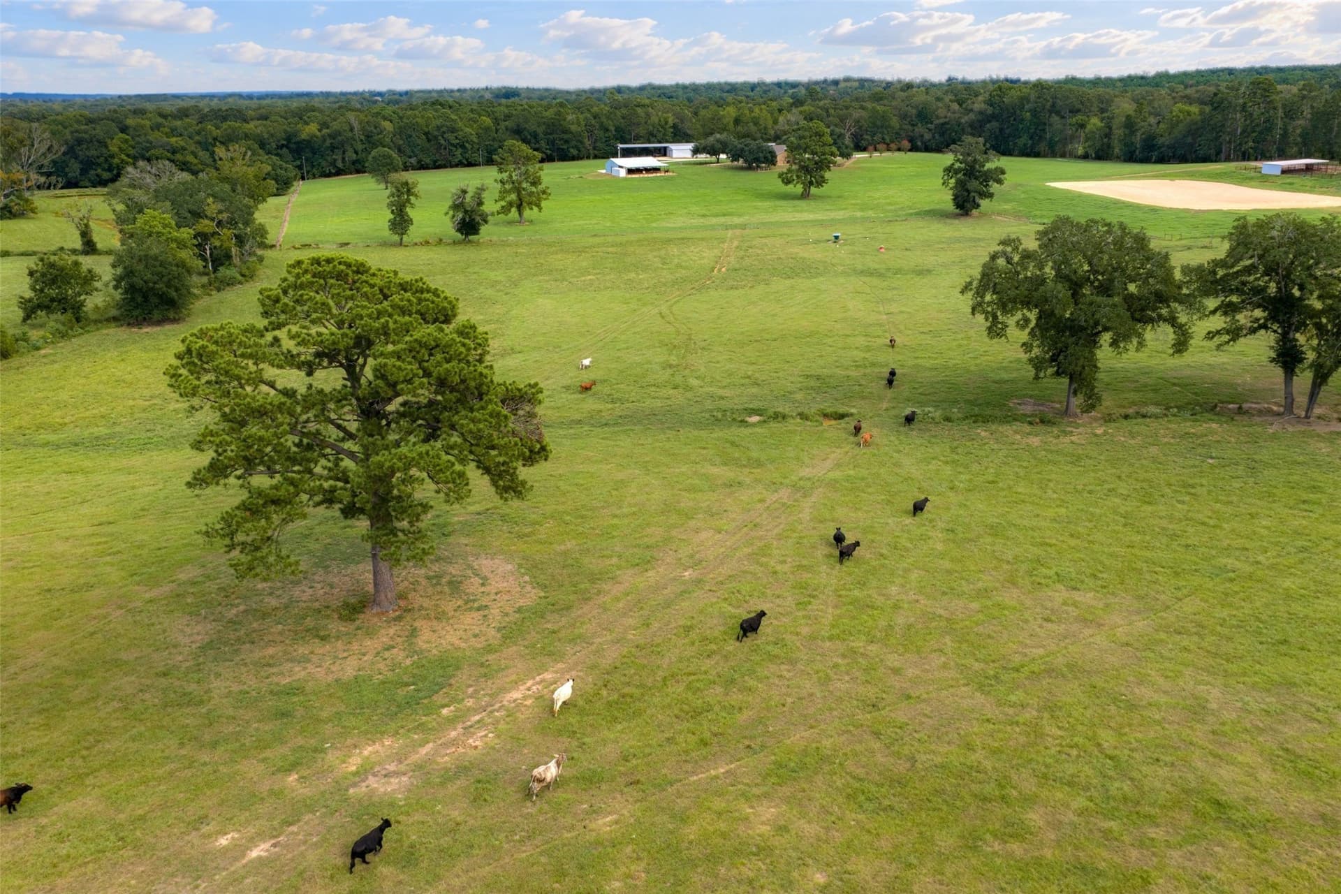 163.26 acres in Cherokee County - photo 25