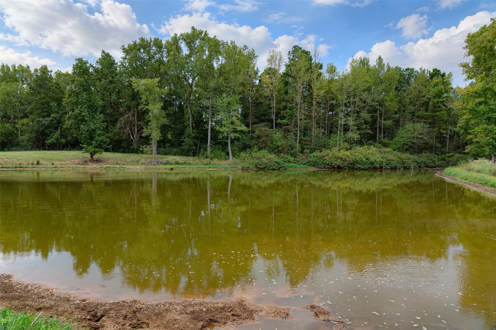163.26 acres in Cherokee County - photo 28