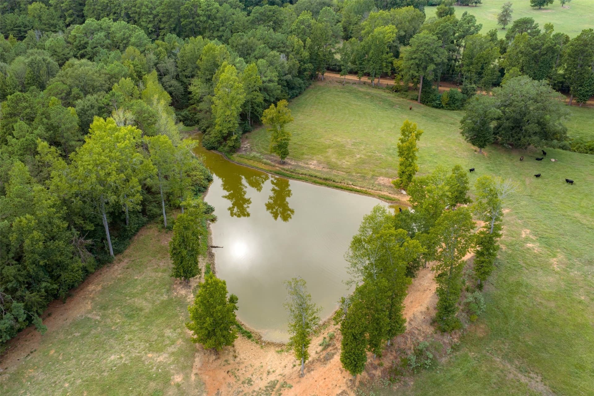 163.26 acres in Cherokee County - photo 27