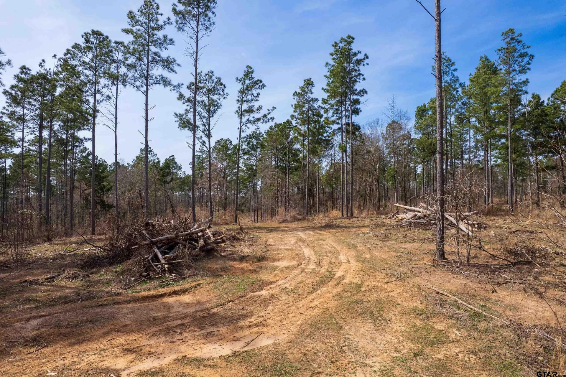 49.01 acres in Franklin County gallery image 3