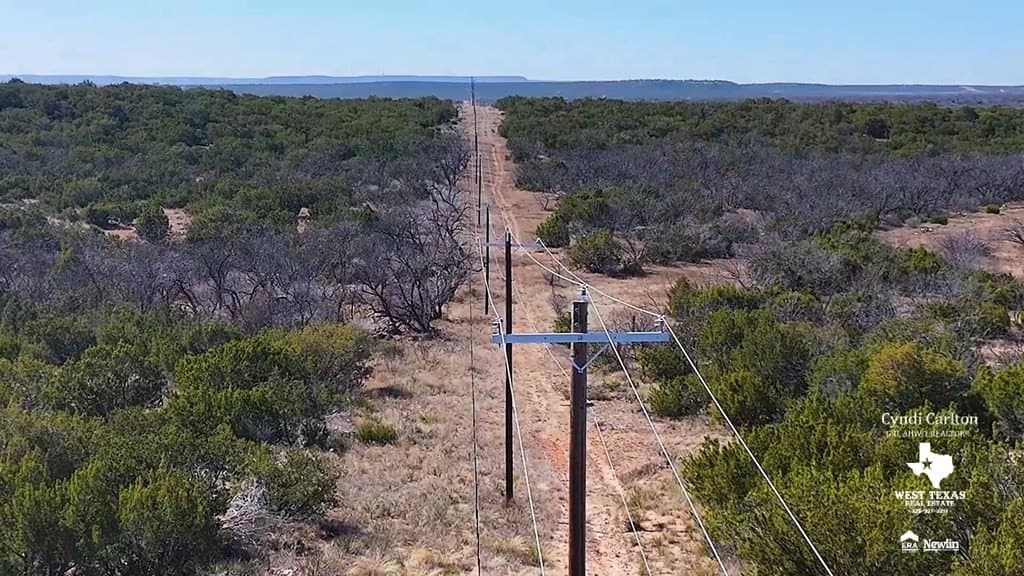 318 acres in Coke County featured view