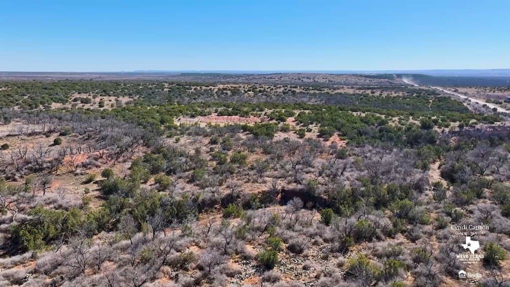 318 acres in Coke County gallery image 2