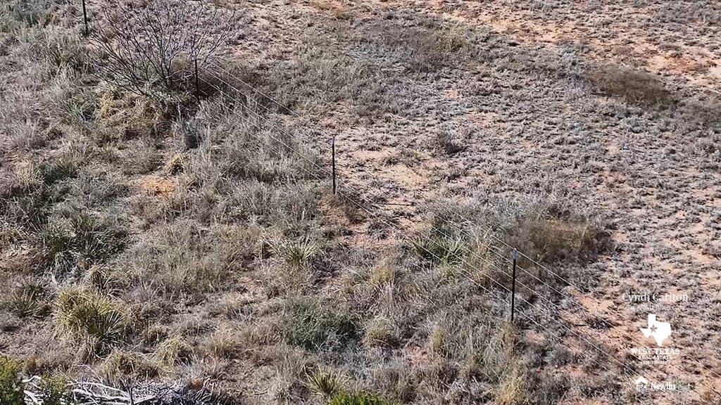 318 acres in Coke County gallery image 4