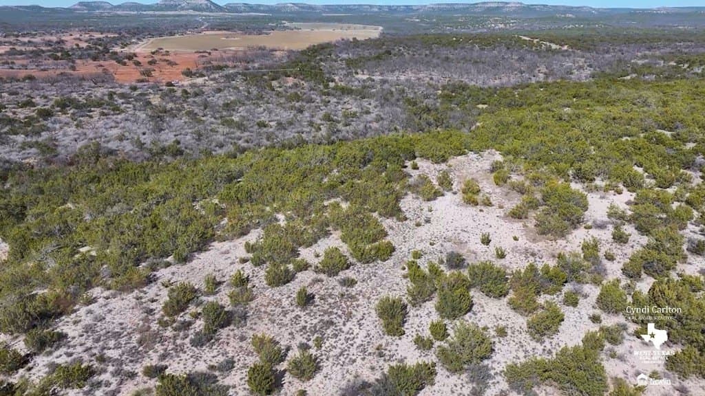 318 acres in Coke County gallery image 3