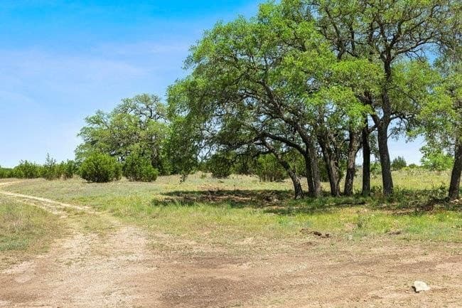 11.82 acres in Burnet County gallery image 3