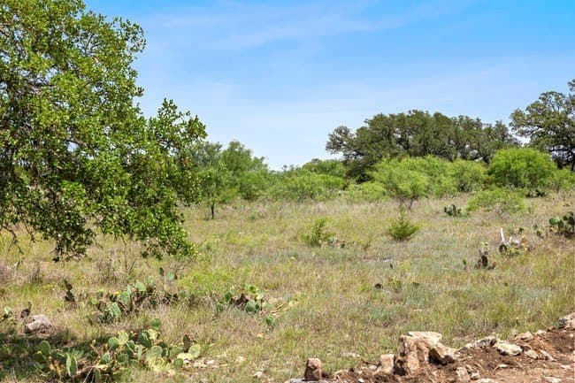 11.82 acres in Burnet County gallery image 4