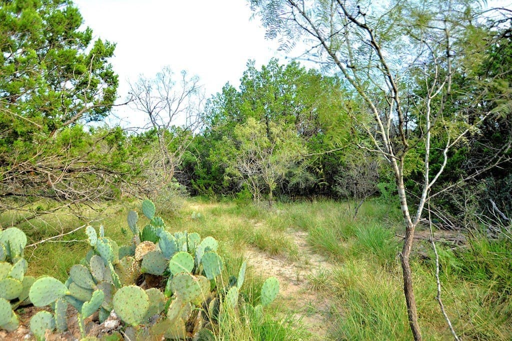 25 acres in Kimble County - photo 14