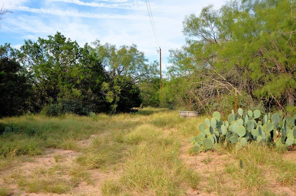 25 acres in Kimble County - photo 17