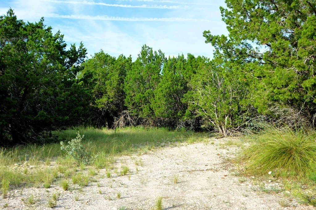 25 acres in Kimble County - photo 11