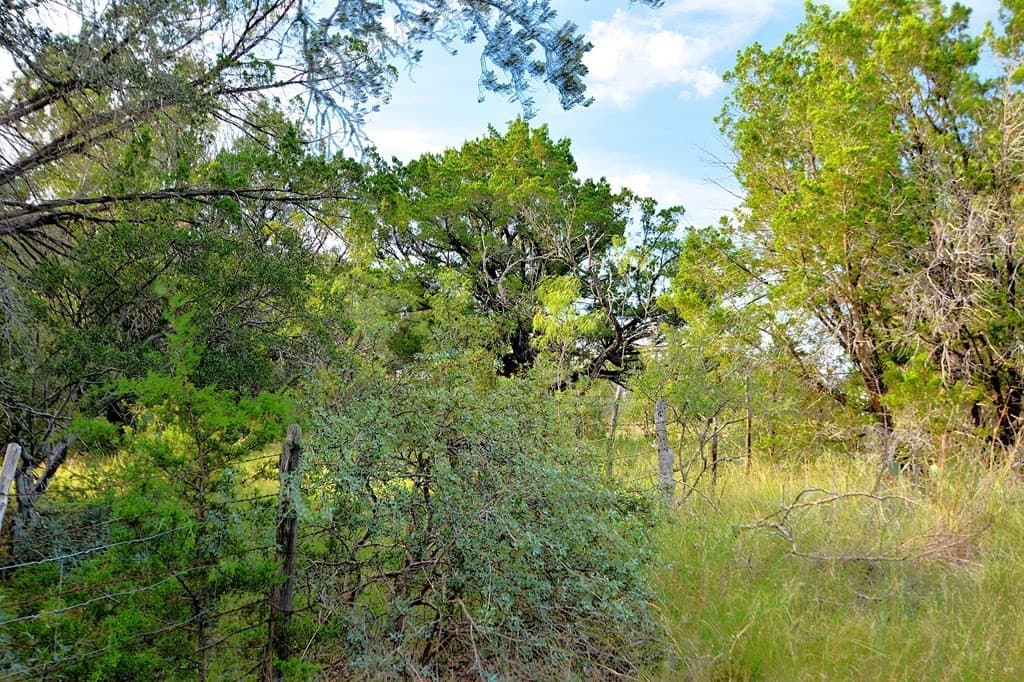 25 acres in Kimble County - photo 28