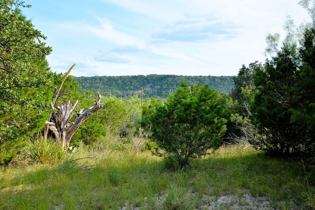 25 acres in Kimble County - photo 27