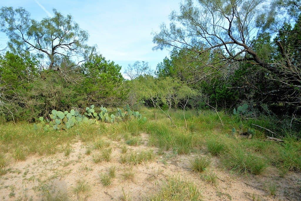 25 acres in Kimble County - photo 13