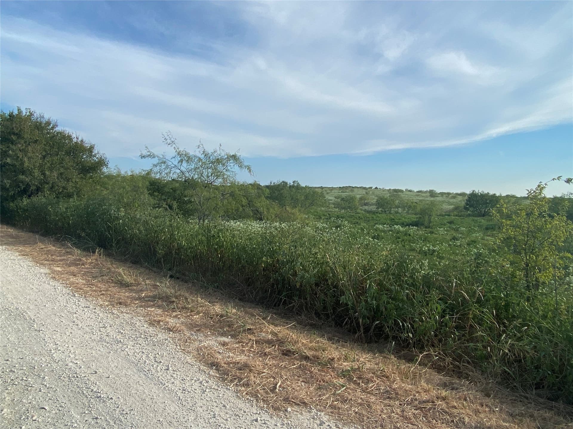 58.67 acres in Hill County - photo 2