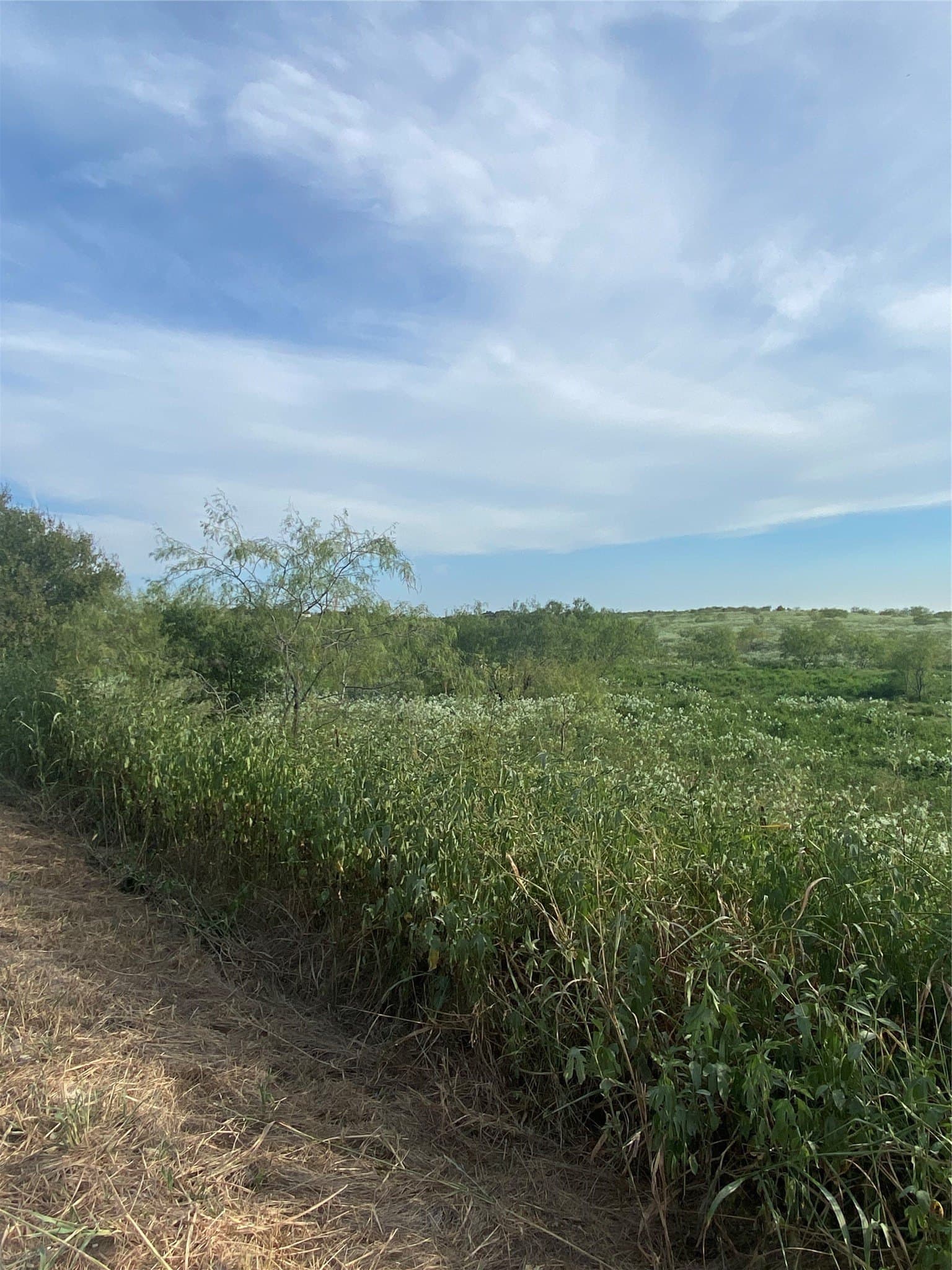 58.67 acres in Hill County