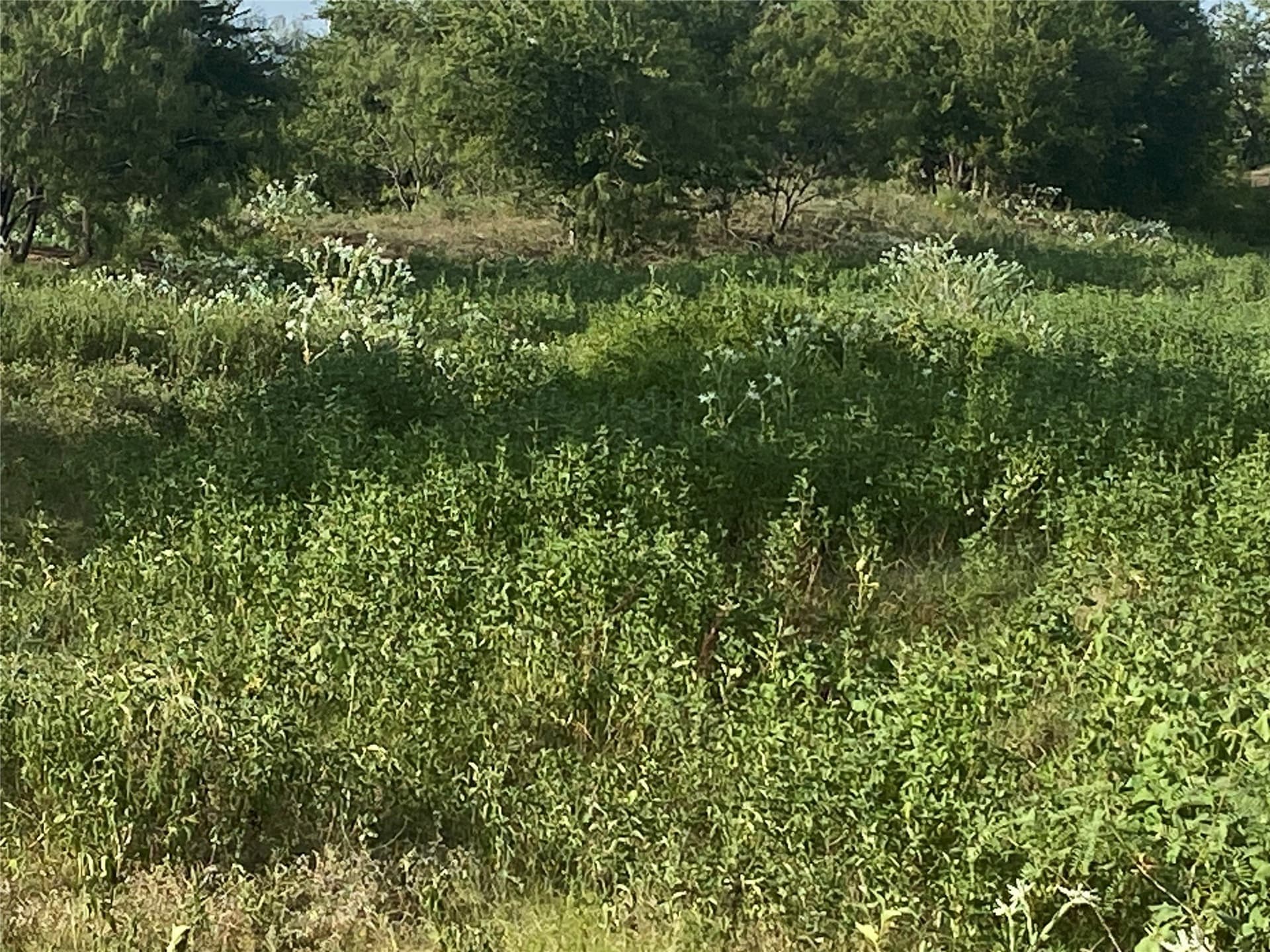 58.67 acres in Hill County - photo 3