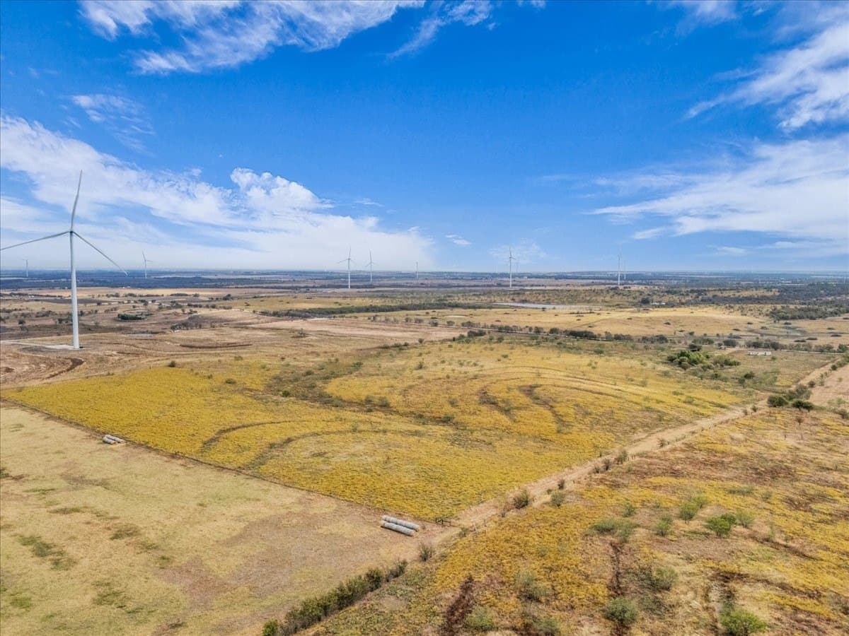 58.67 acres in Hill County - photo 5