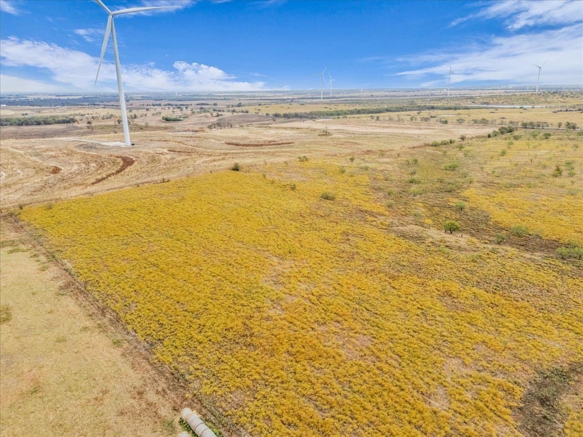 58.67 acres in Hill County - photo 10