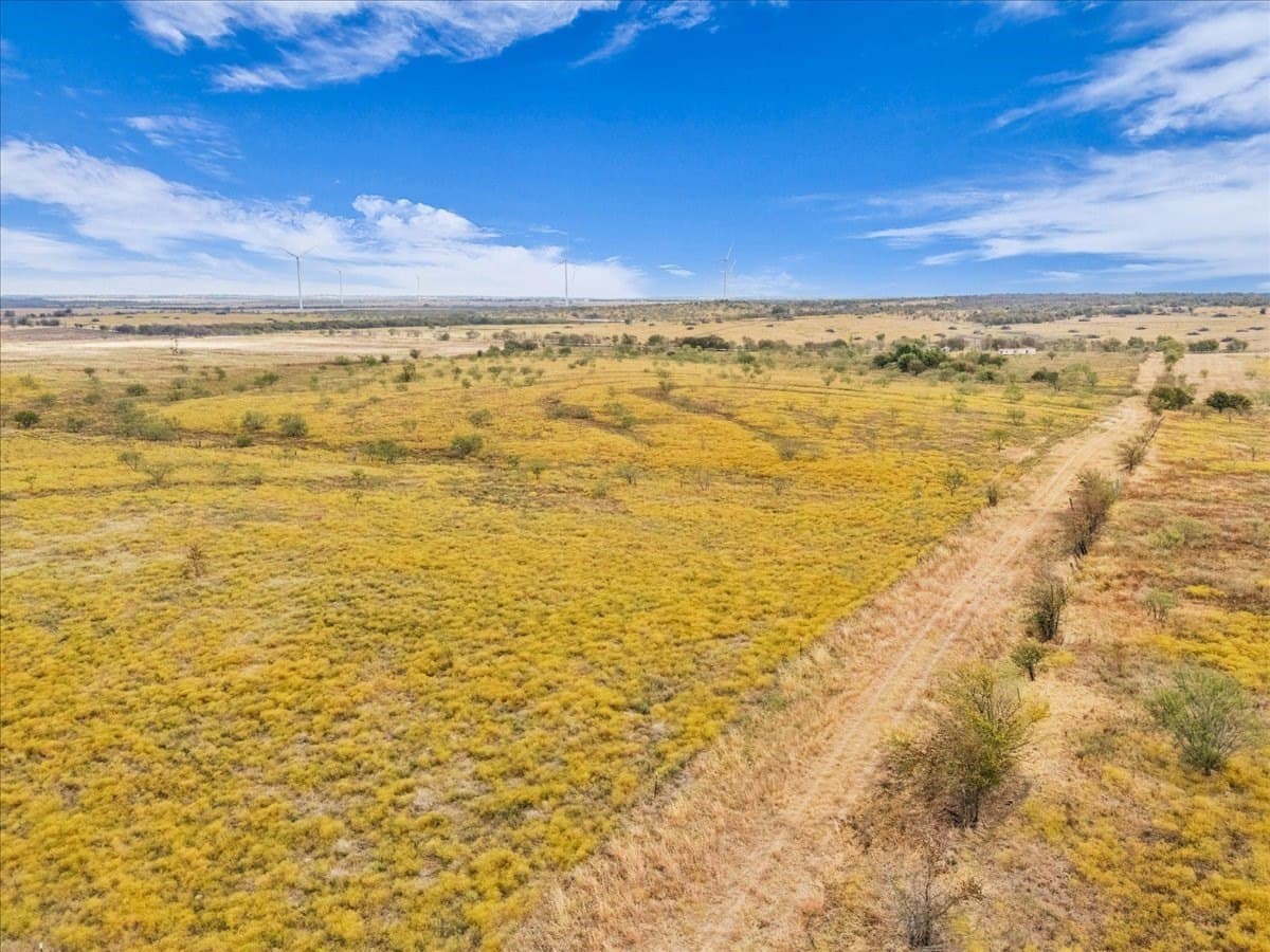 58.67 acres in Hill County - photo 16