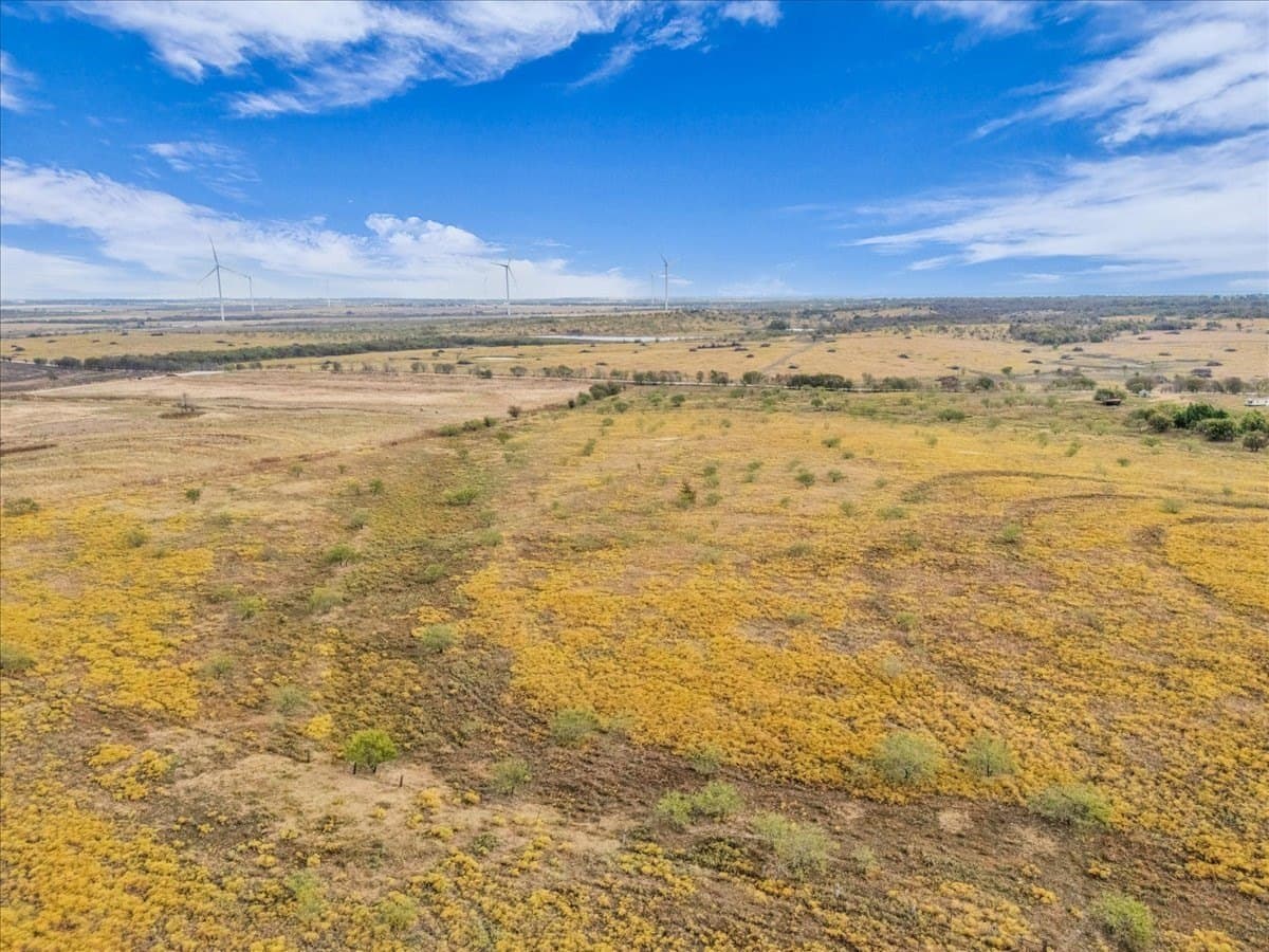 58.67 acres in Hill County - photo 15