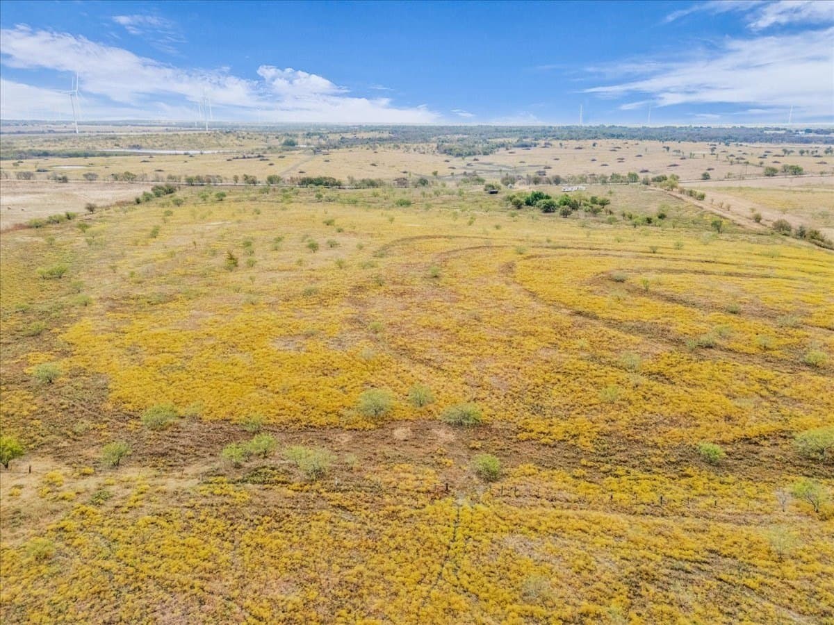 58.67 acres in Hill County - photo 13