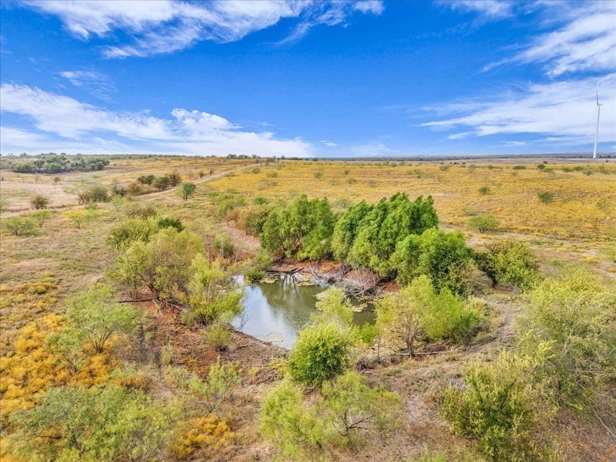 58.67 acres in Hill County - photo 17