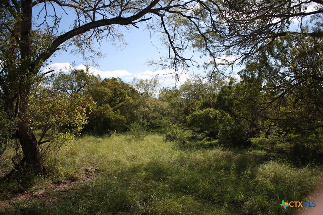 21 acres in San Patricio County - photo 8
