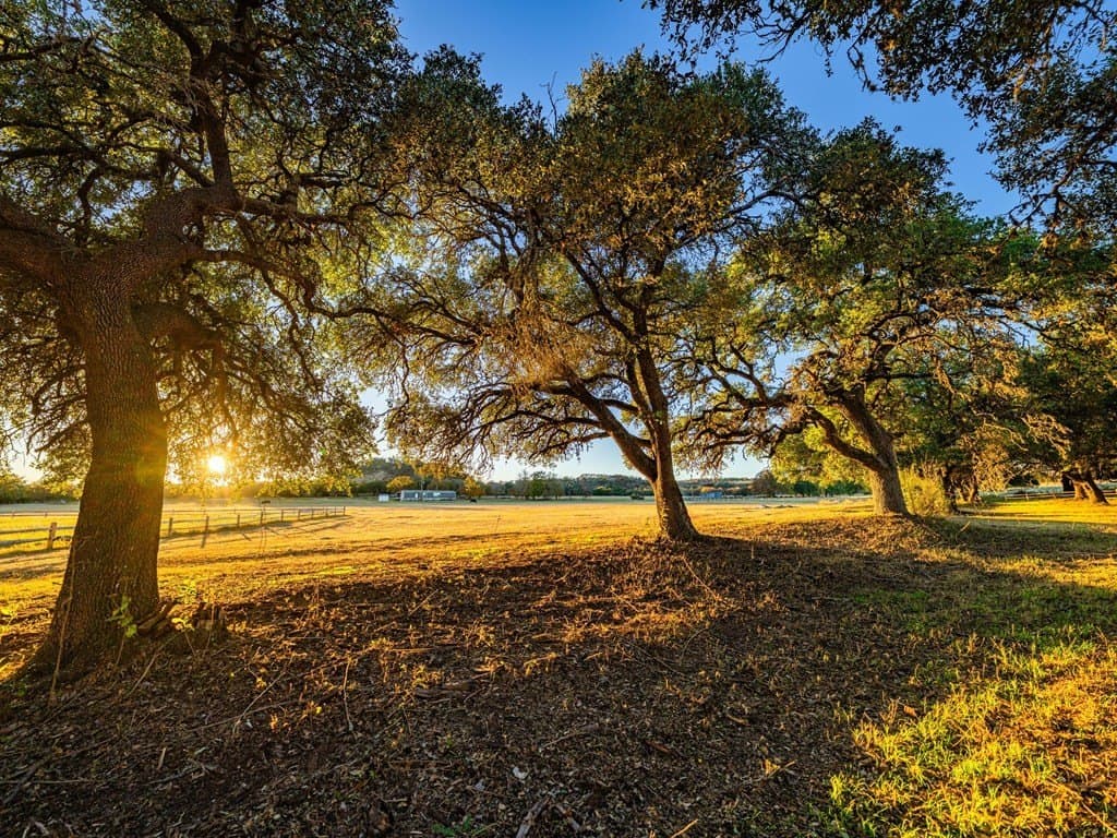 10.04 acres in Gillespie County - photo 8
