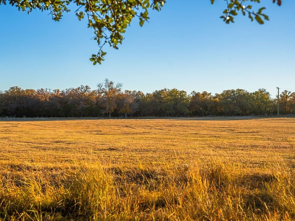 10.04 acres in Gillespie County - photo 15