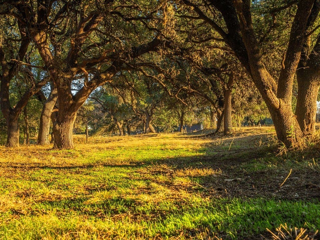 10.04 acres in Gillespie County - photo 12