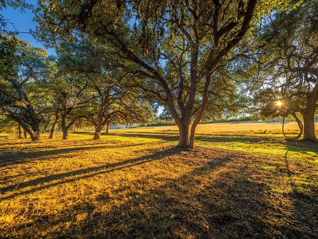 10.04 acres in Gillespie County - photo 14