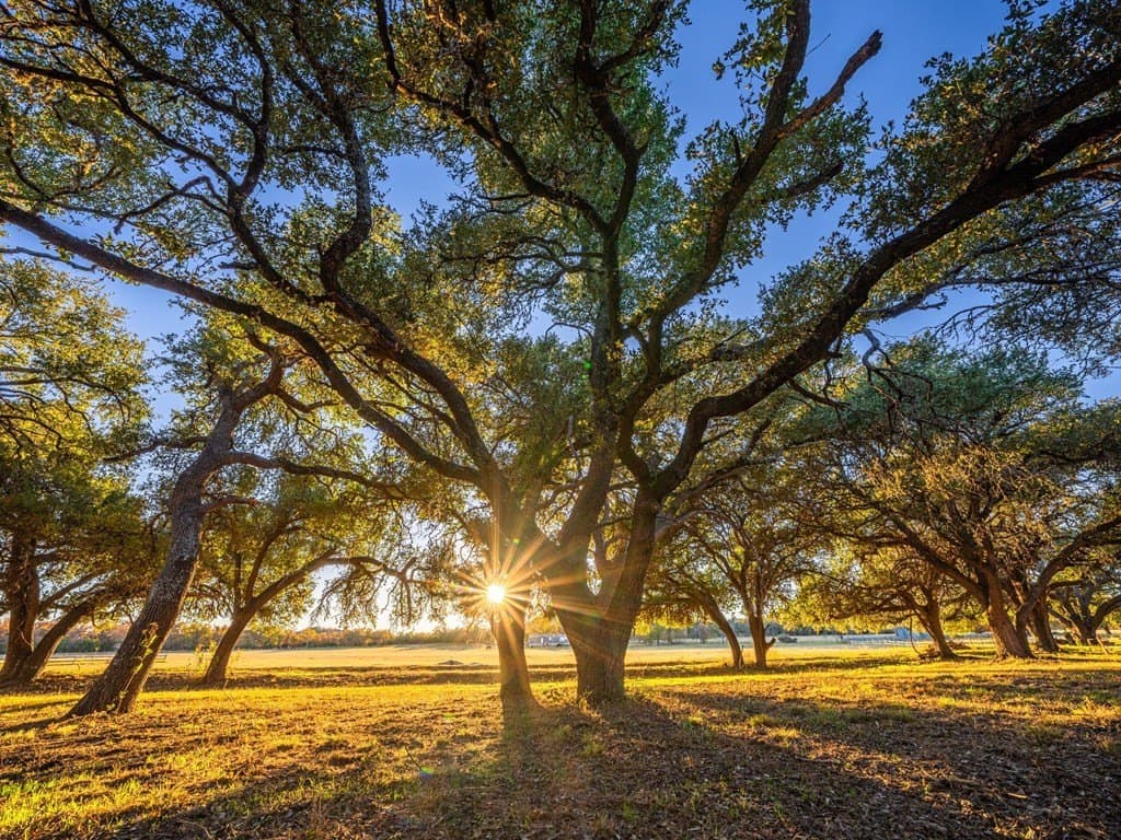 10.04 acres in Gillespie County - photo 13