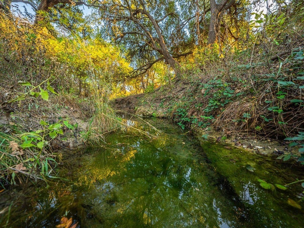 10.04 acres in Gillespie County - photo 3