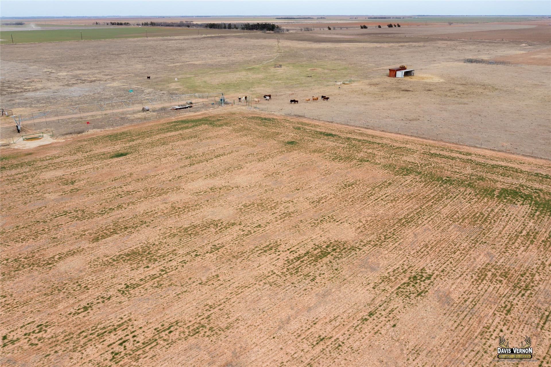 40 acres in Knox County - photo 7