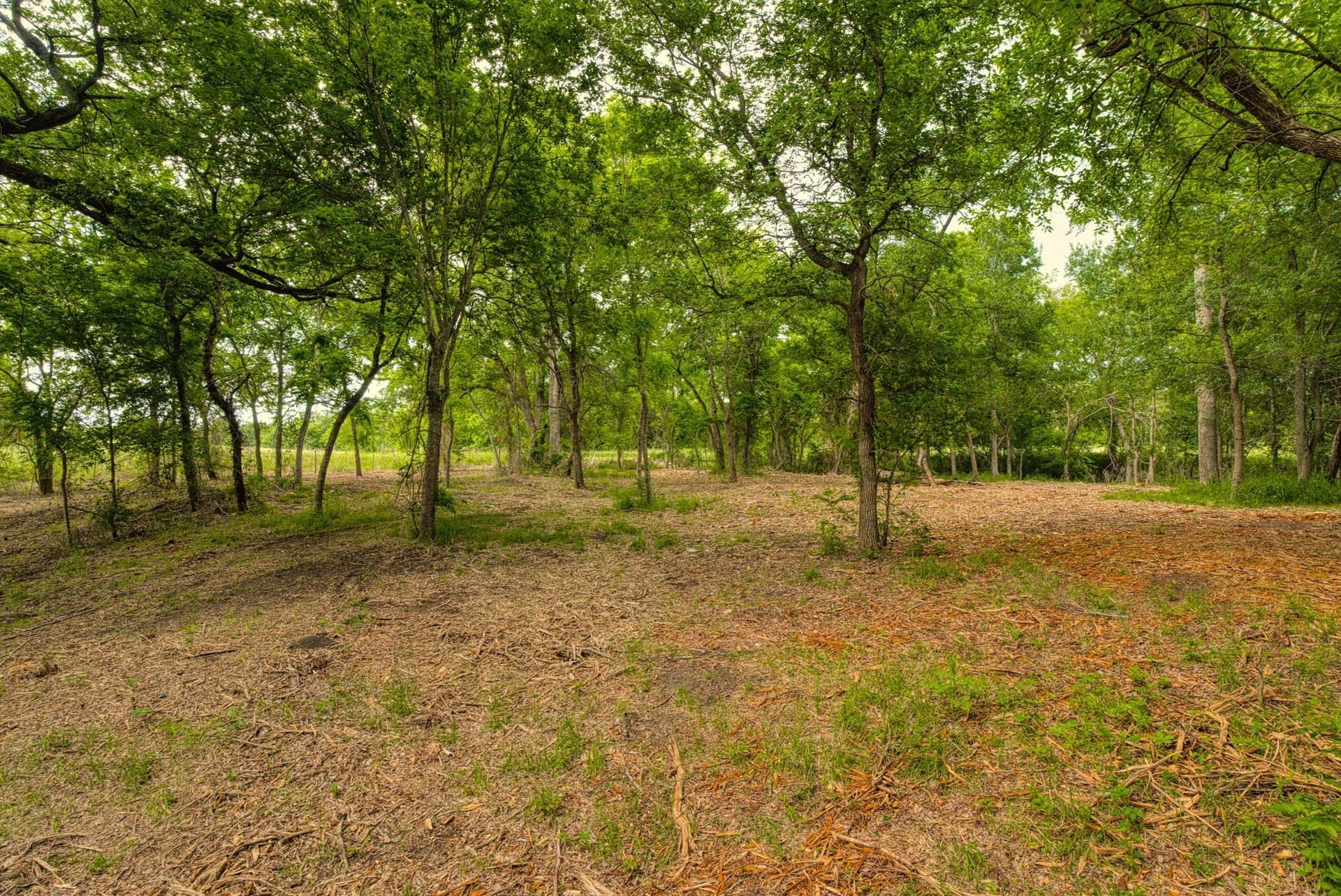 11.5 acres in Falls County - photo 8