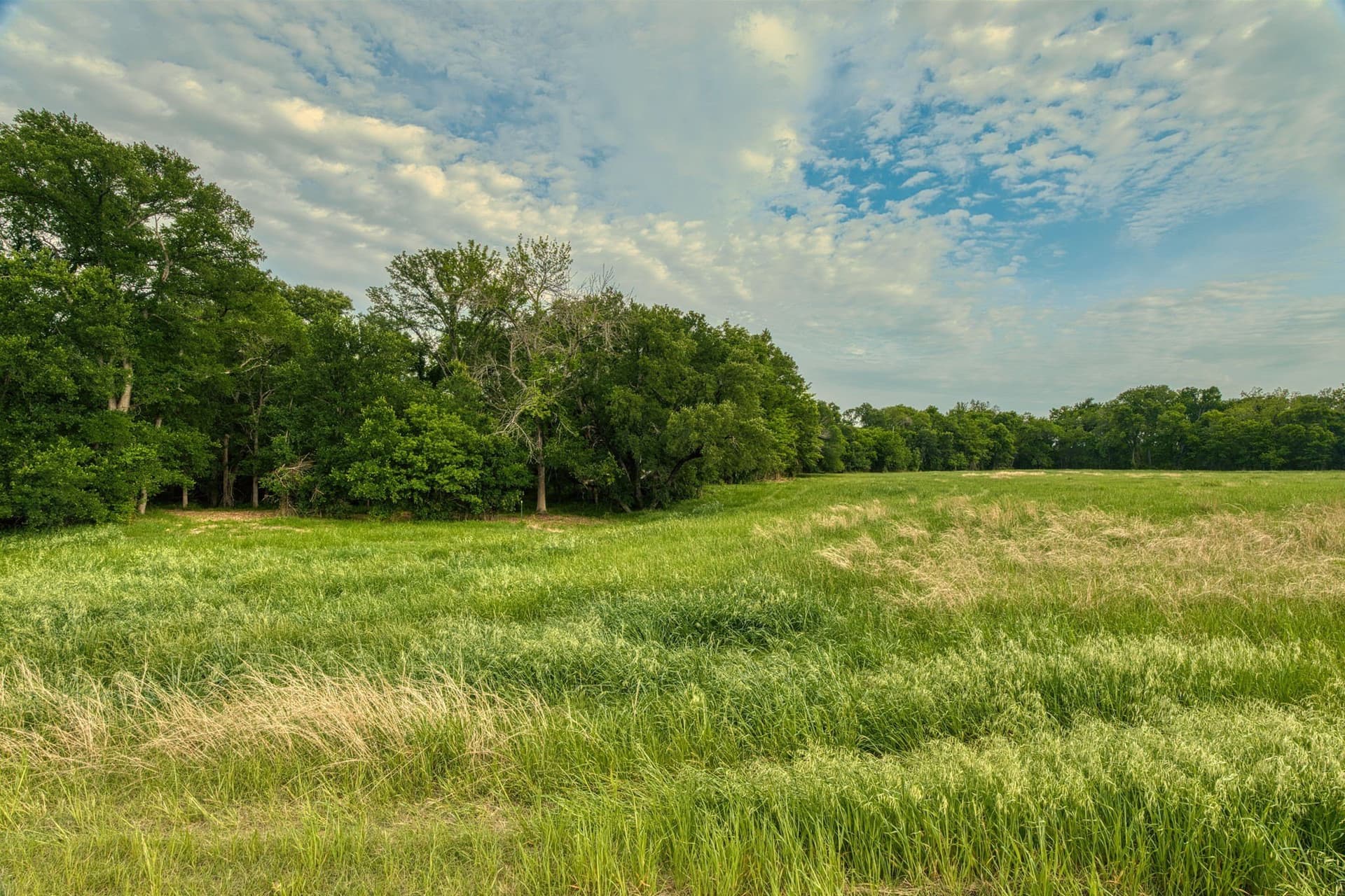 11.5 acres in Falls County - photo 11