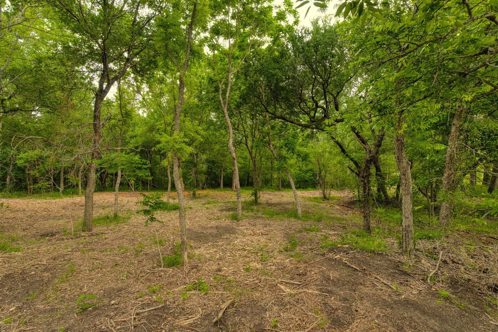 11.5 acres in Falls County - photo 10