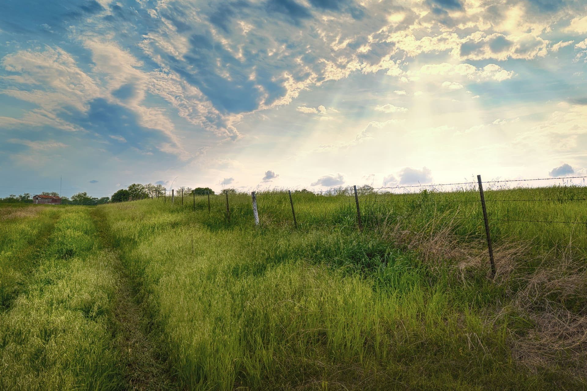 11.5 acres in Falls County - photo 15