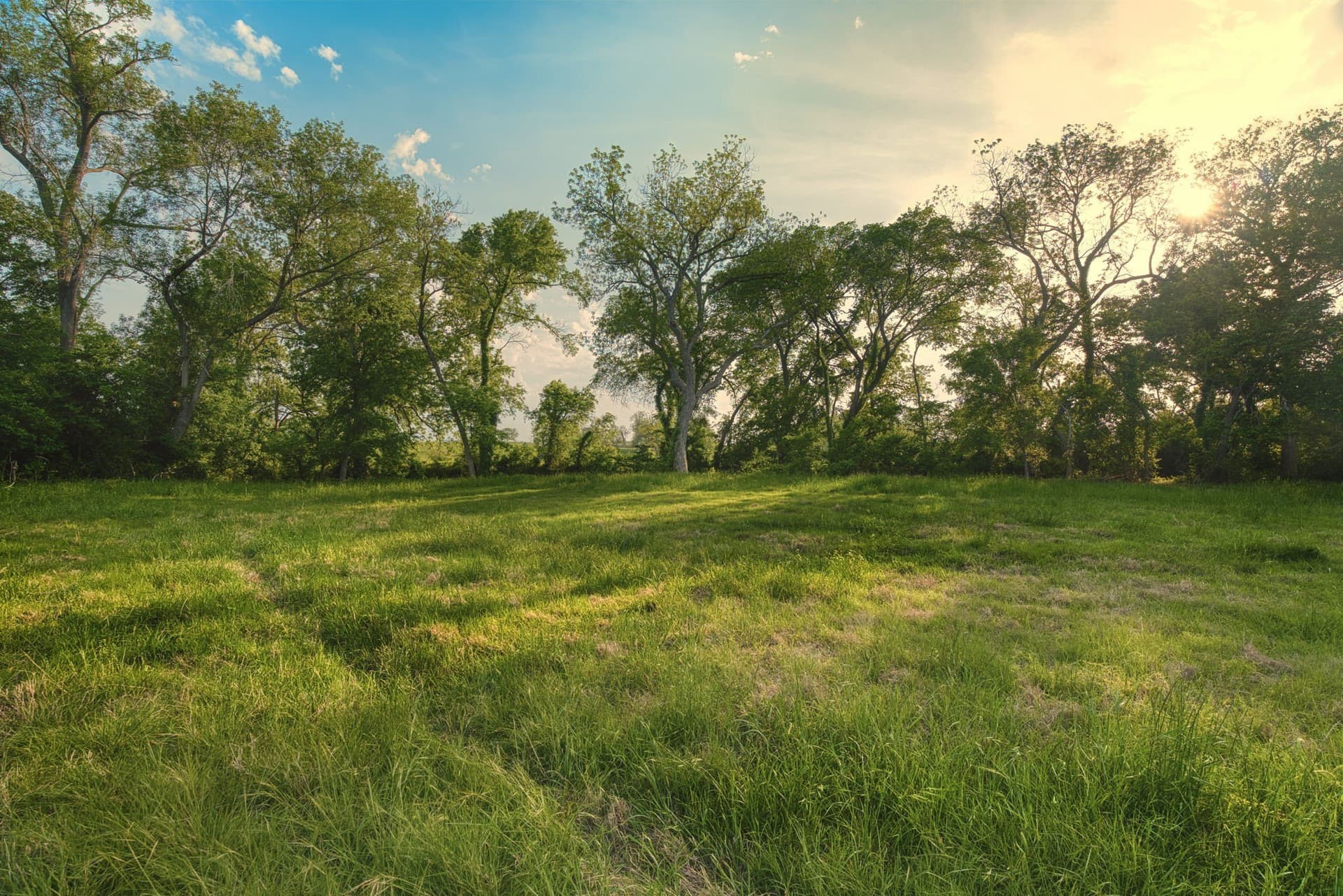 11.5 acres in Falls County - photo 12