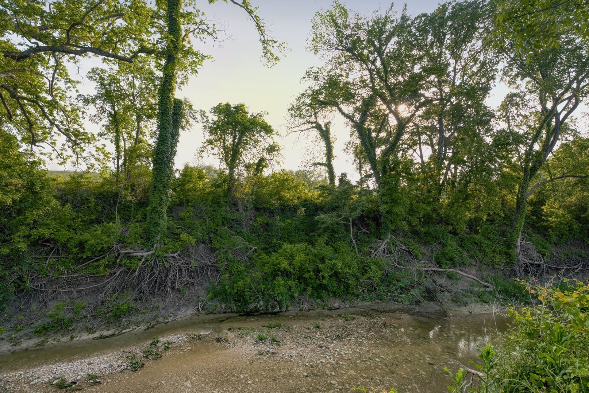 11.5 acres in Falls County - photo 16