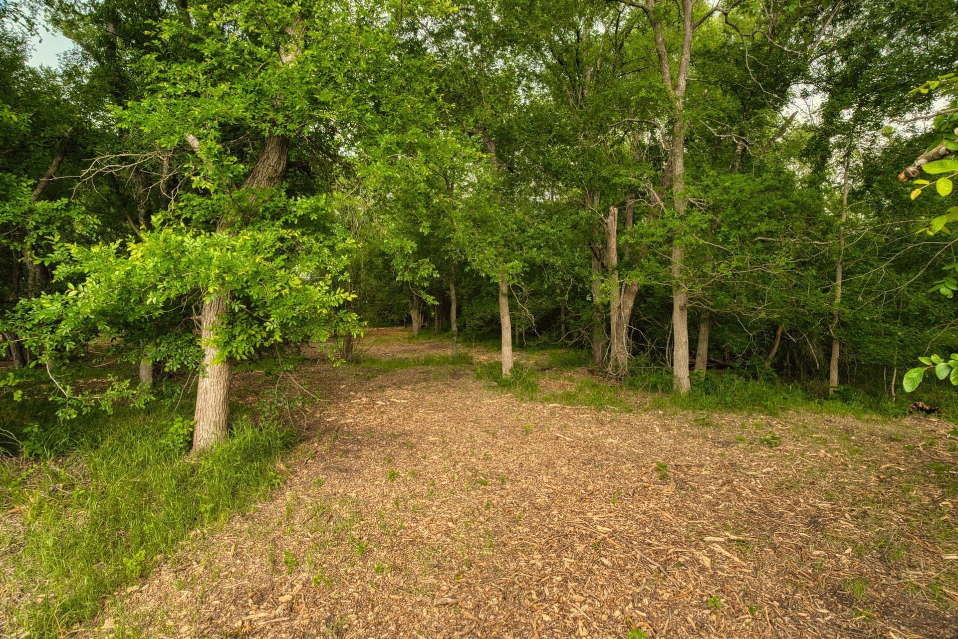 11.5 acres in Falls County - photo 7