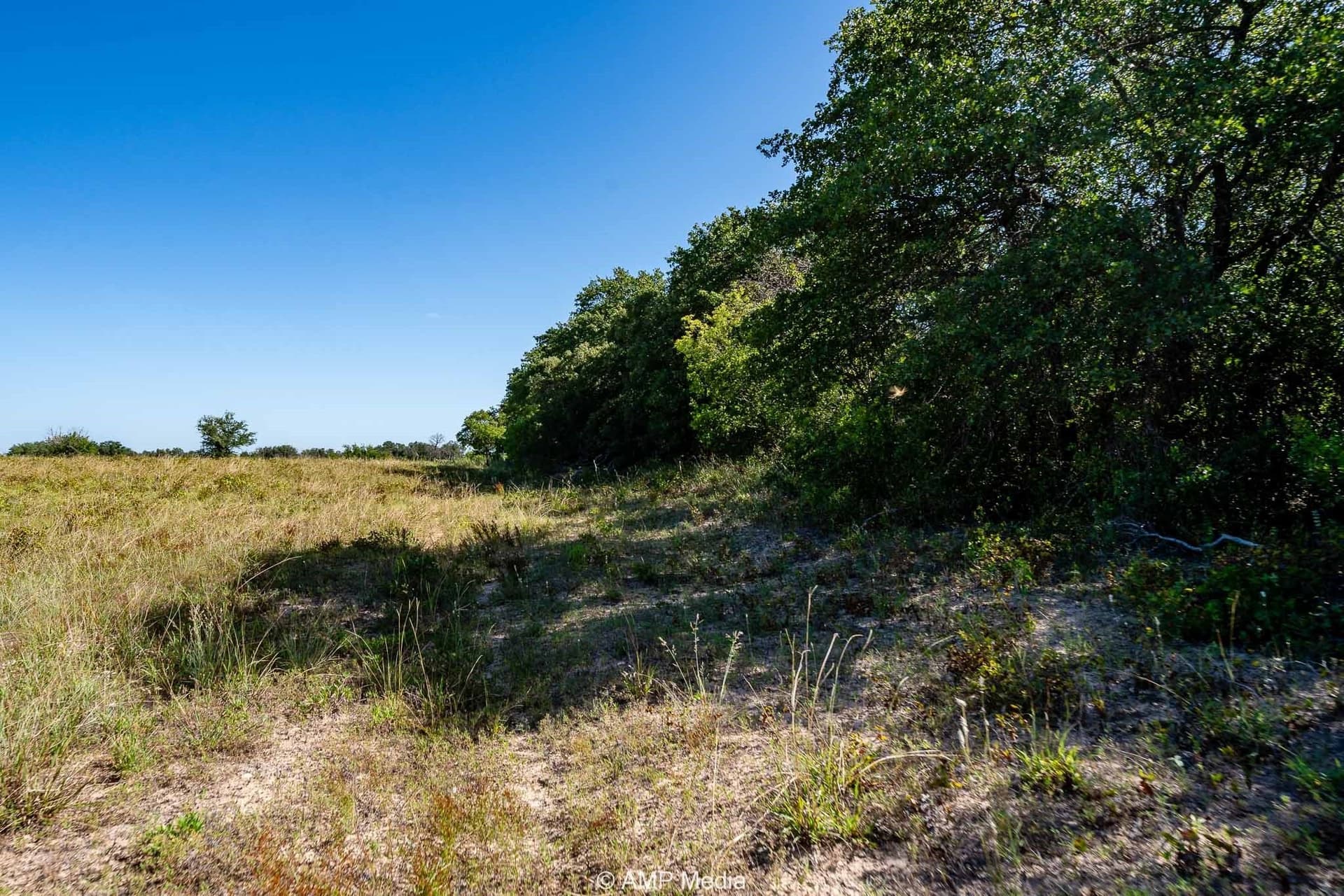 42 acres in Eastland County - photo 10