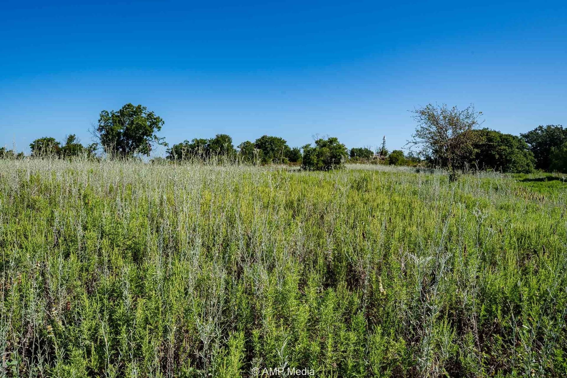 42 acres in Eastland County - photo 2